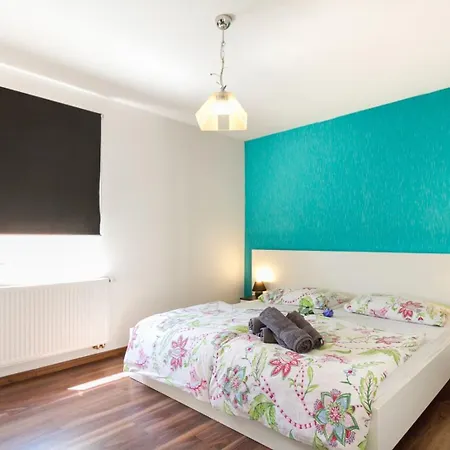 Spacious Vila *