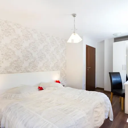 Vila Spacious Zminj